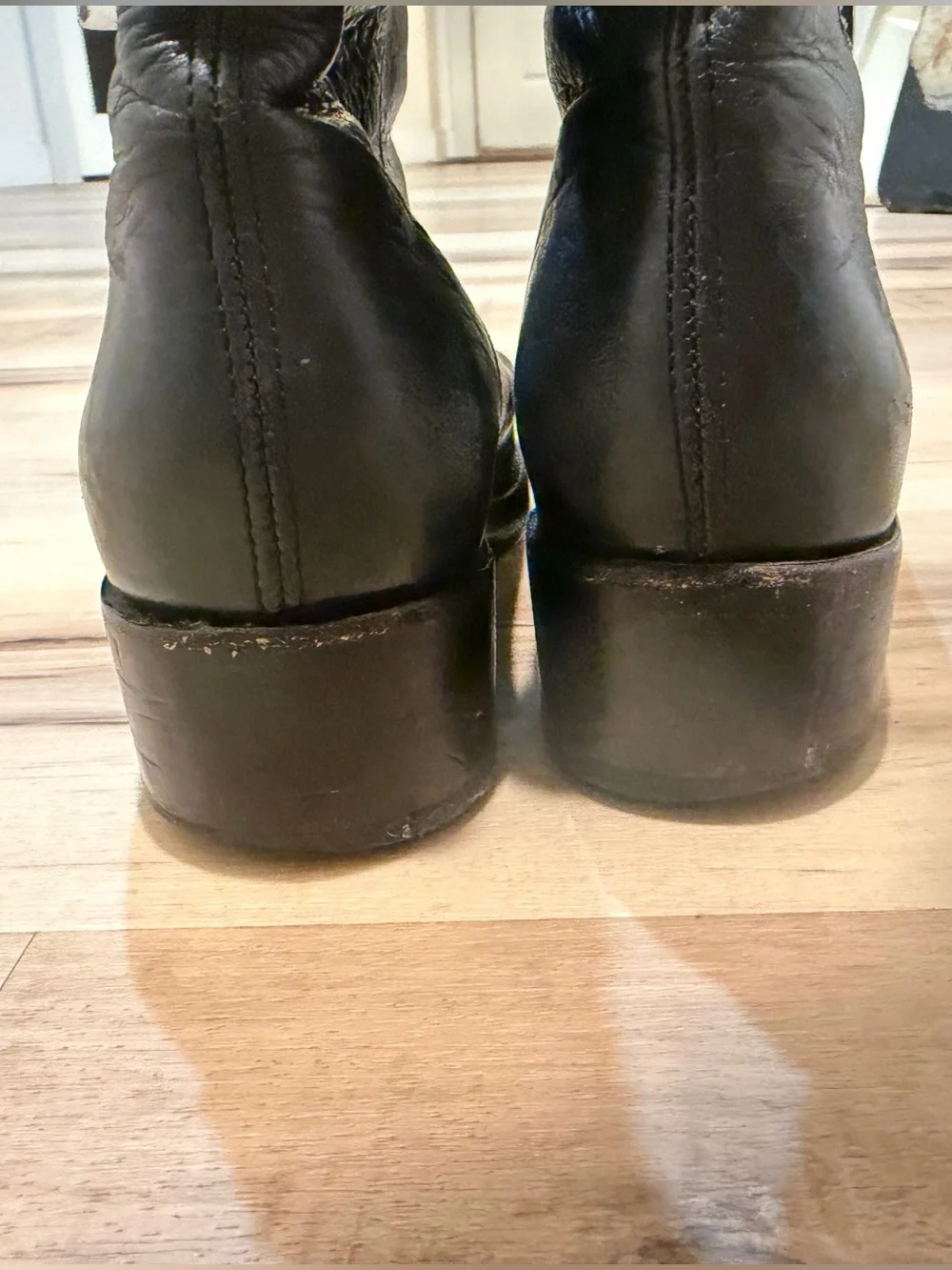 Frye black Demi zip bootie in black